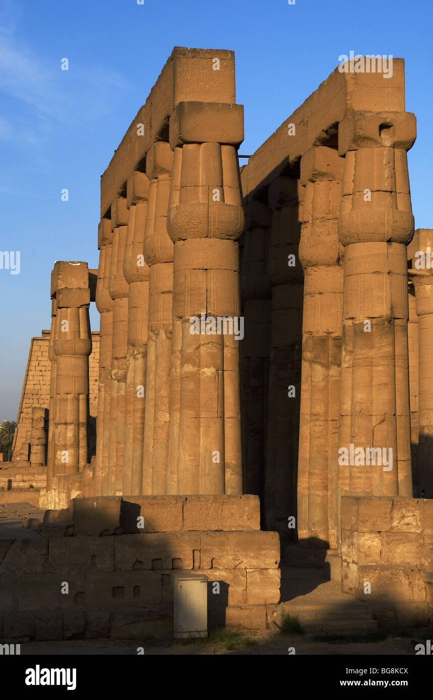 L'Égypte. TEMPLE de Louxor. Fasciculatesd avec colonnes capitales de papyrus salle hypostyle. Nouveau Royaume. "L'antique Thèbes, Waset Banque D'Images