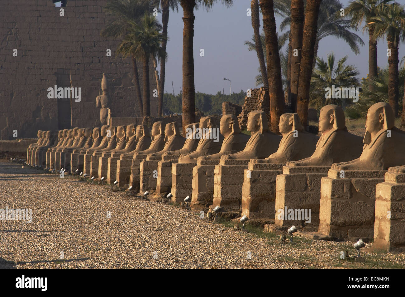 L'Égypte. TEMPLE de Louxor. L'Avenue des sphinx. Banque D'Images