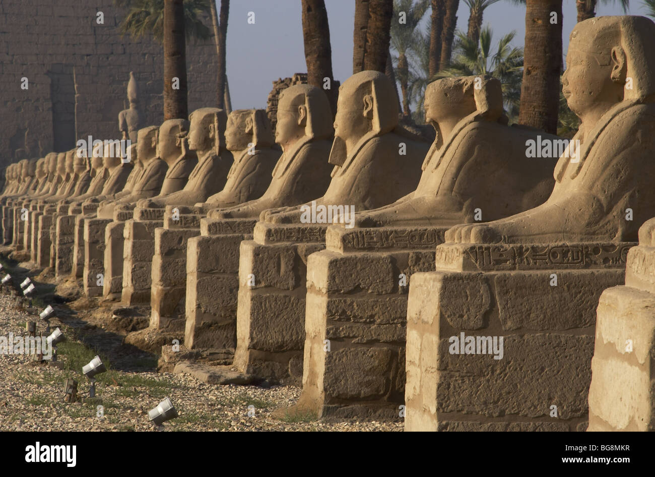 L'Égypte. TEMPLE de Louxor. L'Avenue des sphinx. Banque D'Images