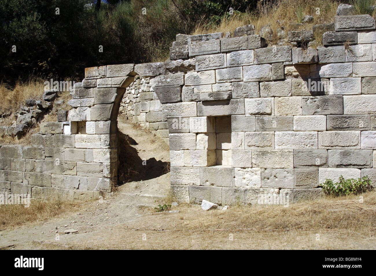 L'art grec hellénistique. Ruines d'Apollonia,. Détail. Fier. République d'Albanie. Banque D'Images