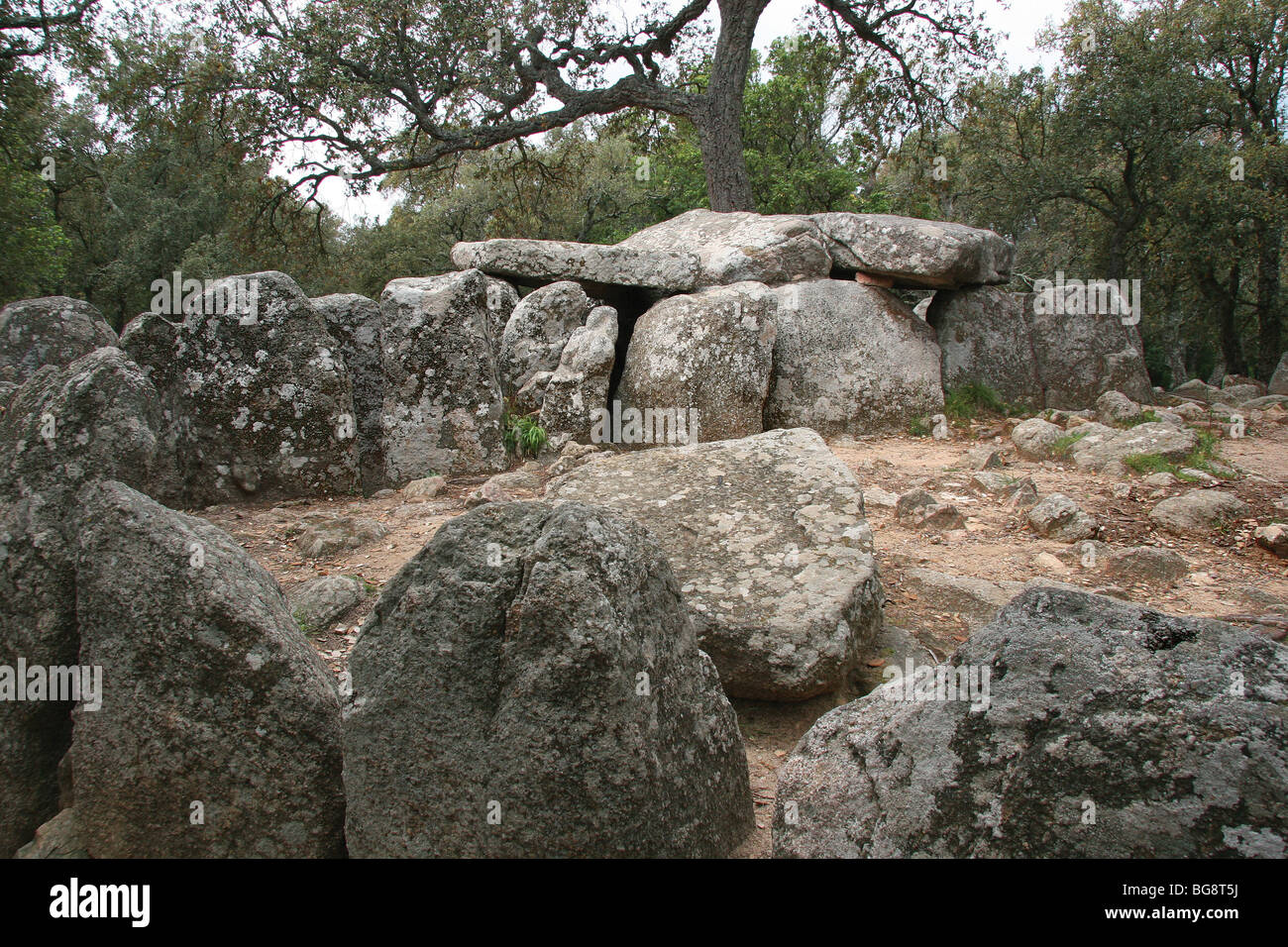 L'art préhistorique Dolmen (pierre tombale) de "Cova d'en Daima'. À proximité de Romanya de la Selva. Alt Emporda. La Catalogne. L'Espagne. Banque D'Images
