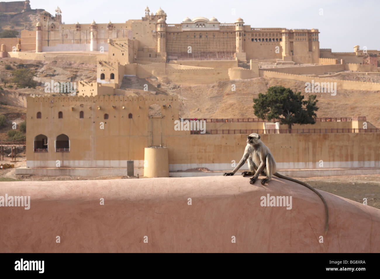 Inde Rajasthan palais rose Banque D'Images