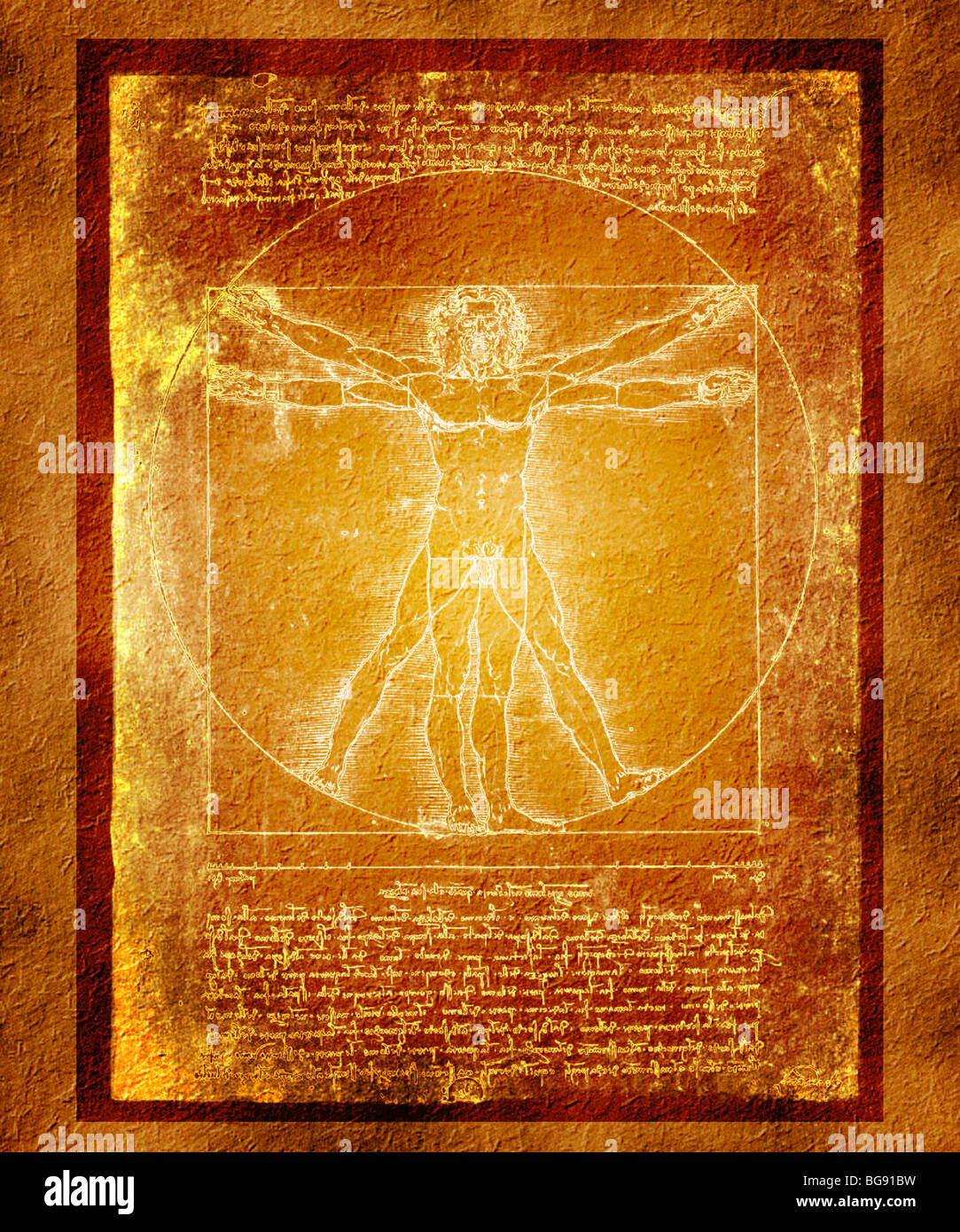 Enhanced View de l'ordinateur de l'homme de Vitruve par Leonardo da Vinci Banque D'Images