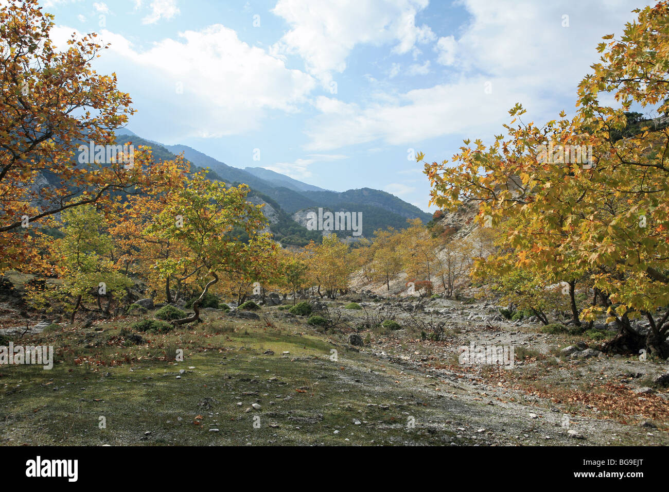 Le lit d'une rivière asséchée sur le côté du Mont Olympe en Grèce Banque D'Images