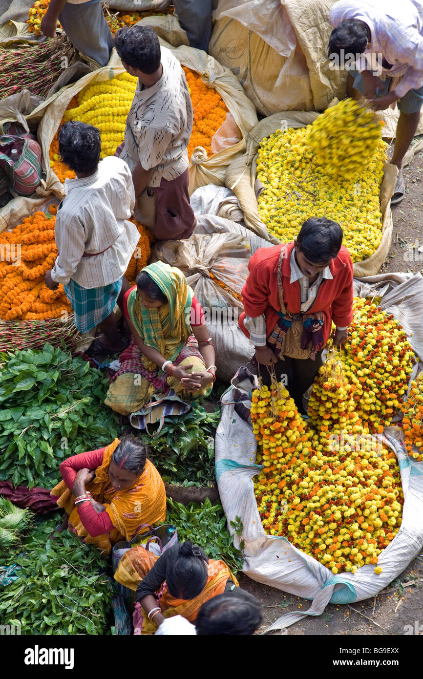 Marché aux Fleurs. Calcutta (Kolkata). L'Inde Banque D'Images