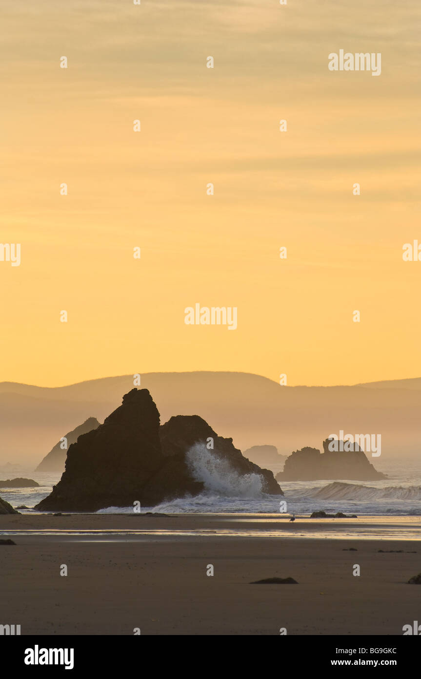 Lever de soleil à Harris Beach State Park, le sud de l'Oregon coast. Banque D'Images