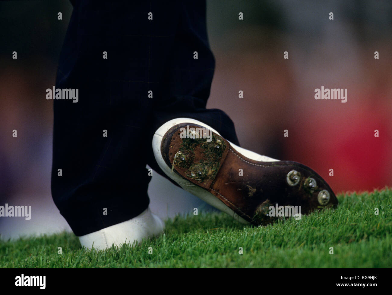 Gros plan d'une des chaussures de golf avec des touffes d'herbe Banque D'Images