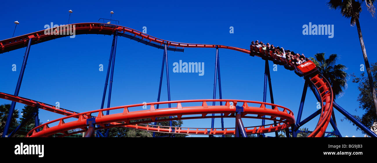 Roller Coaster de Scorpion, Busch Gardens Tampa Bay, Floride, Banque D'Images