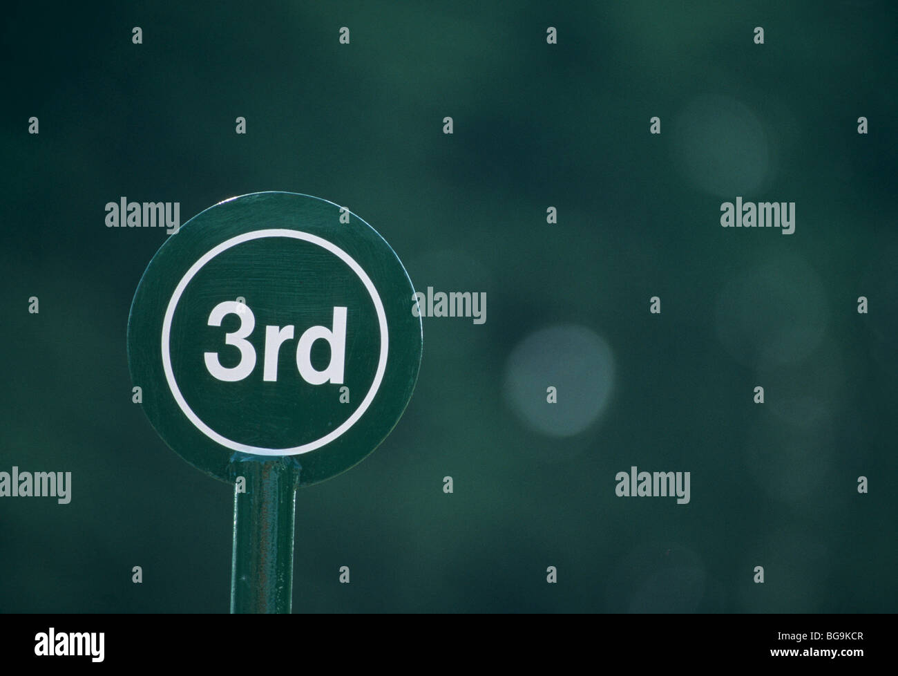 Après la troisième place à une course de chevaux Banque D'Images