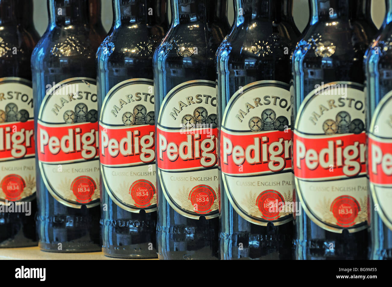 Marstons Pedigree bière en bouteille Banque D'Images