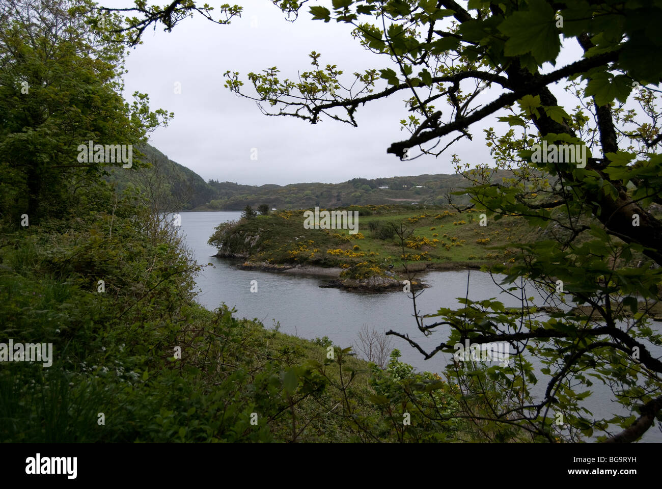 Lough Hyne, marine lake, West Cork, Irlande Banque D'Images