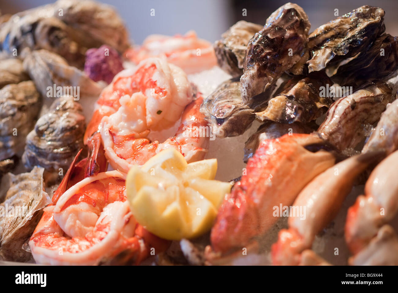 Les crevettes, les huîtres et les pinces de crabe rock, California, United States of America Banque D'Images