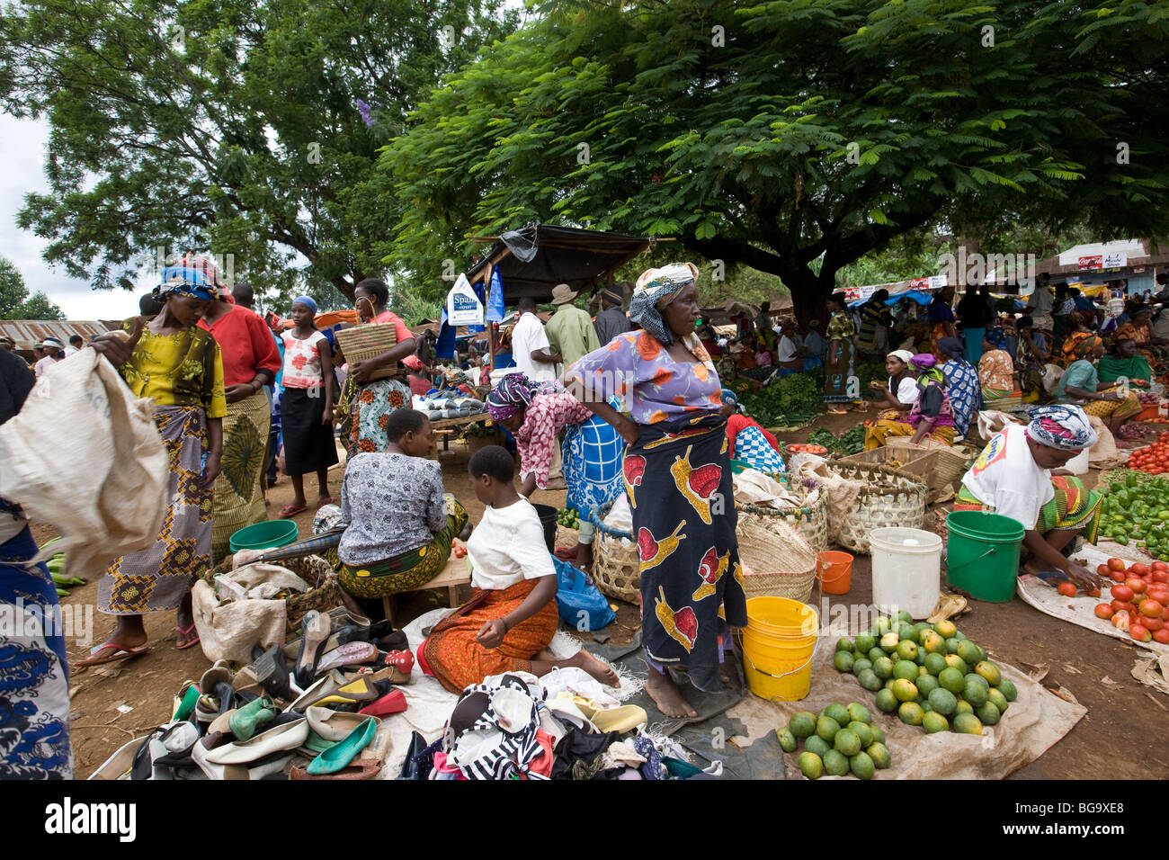 Marché Machame, le Kilimandjaro, Tanzanie Foothills, l'Afrique de l'Est. Banque D'Images