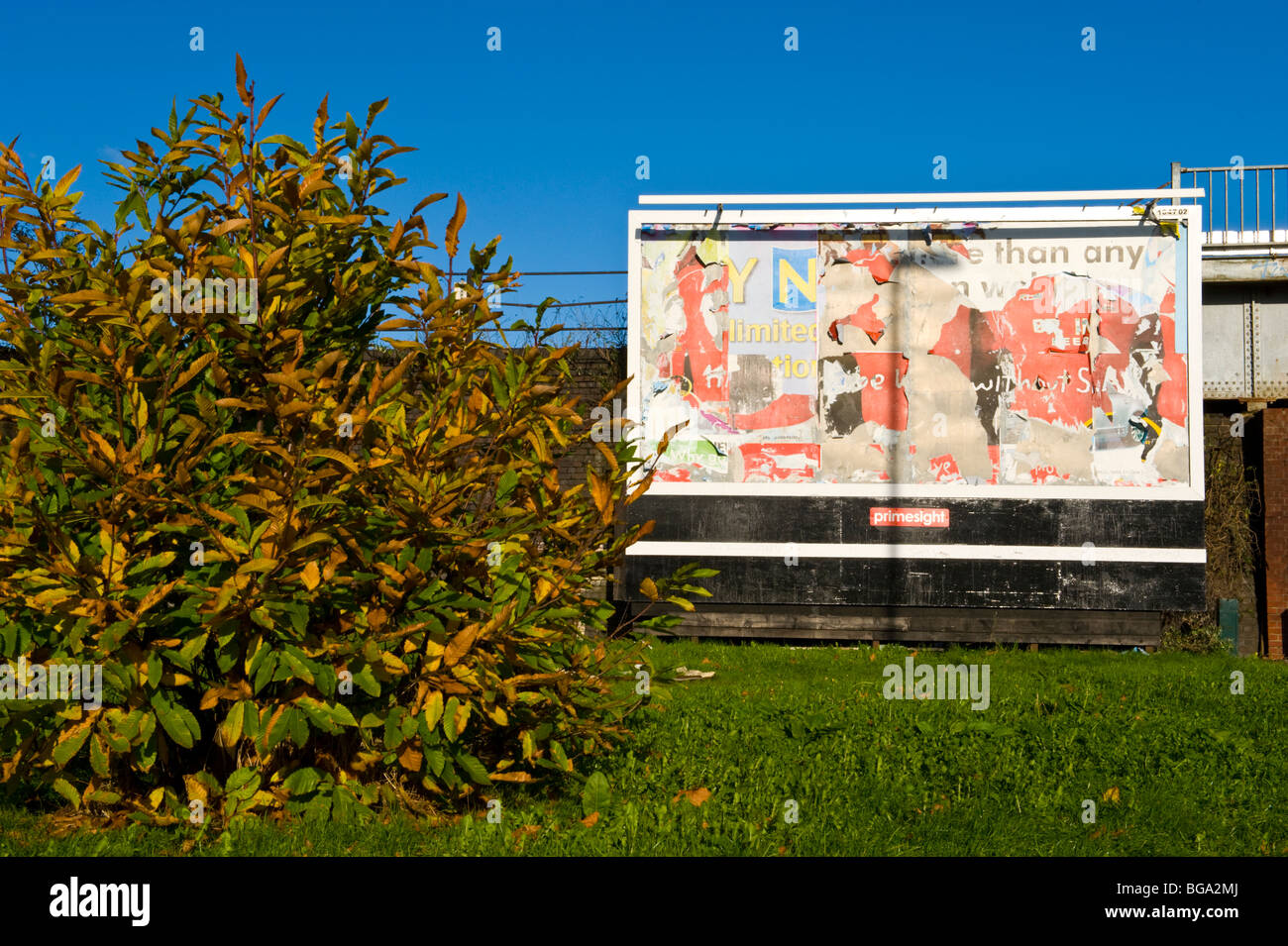 Primesight site billboard avec arraché et déchiré des affiches à Newport South Wales UK Banque D'Images