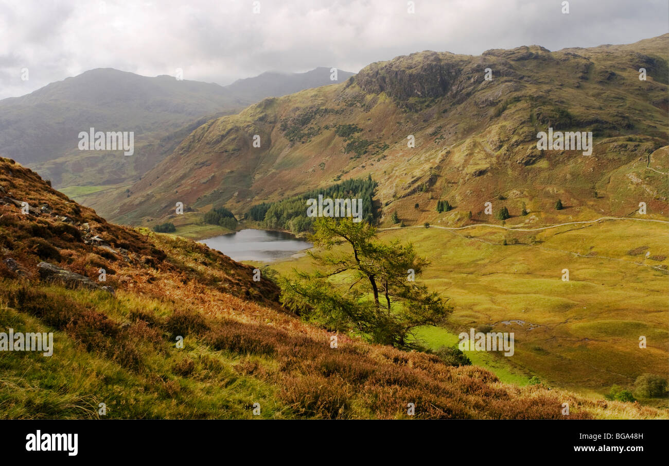 Vue de côté du Tarn Blea Pike, Lake District, Cumbria, Royaume-Uni Banque D'Images