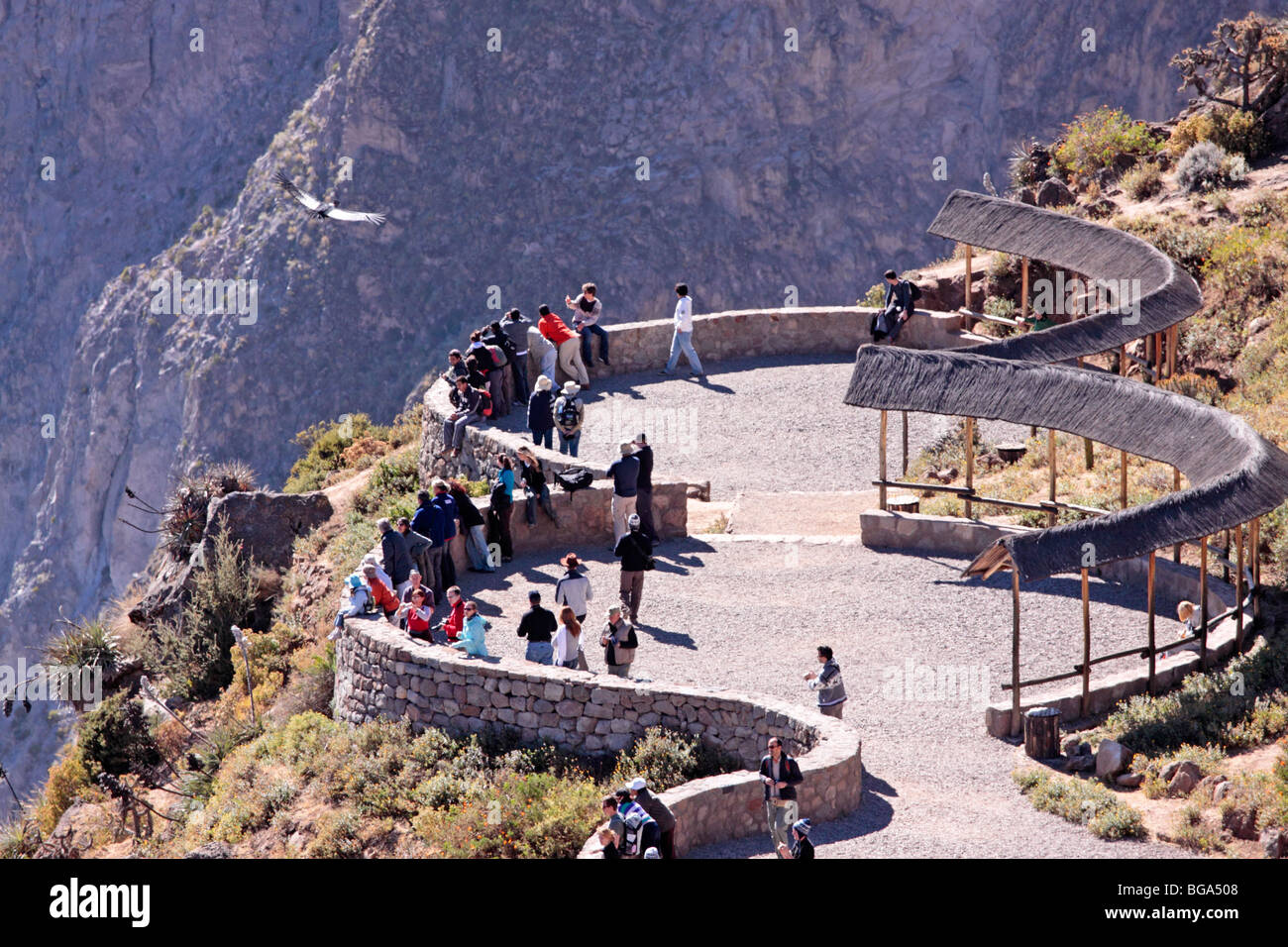 Plate-forme d'observation au Canyon de Colca, Andes, Pérou, Amérique du Sud Banque D'Images