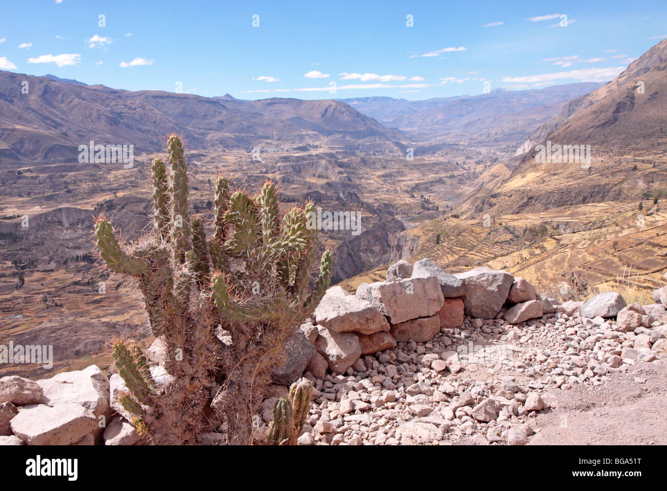 L'ensemble de vue le Canyon de Colca, les Andes, le Pérou, Amérique du Sud Banque D'Images