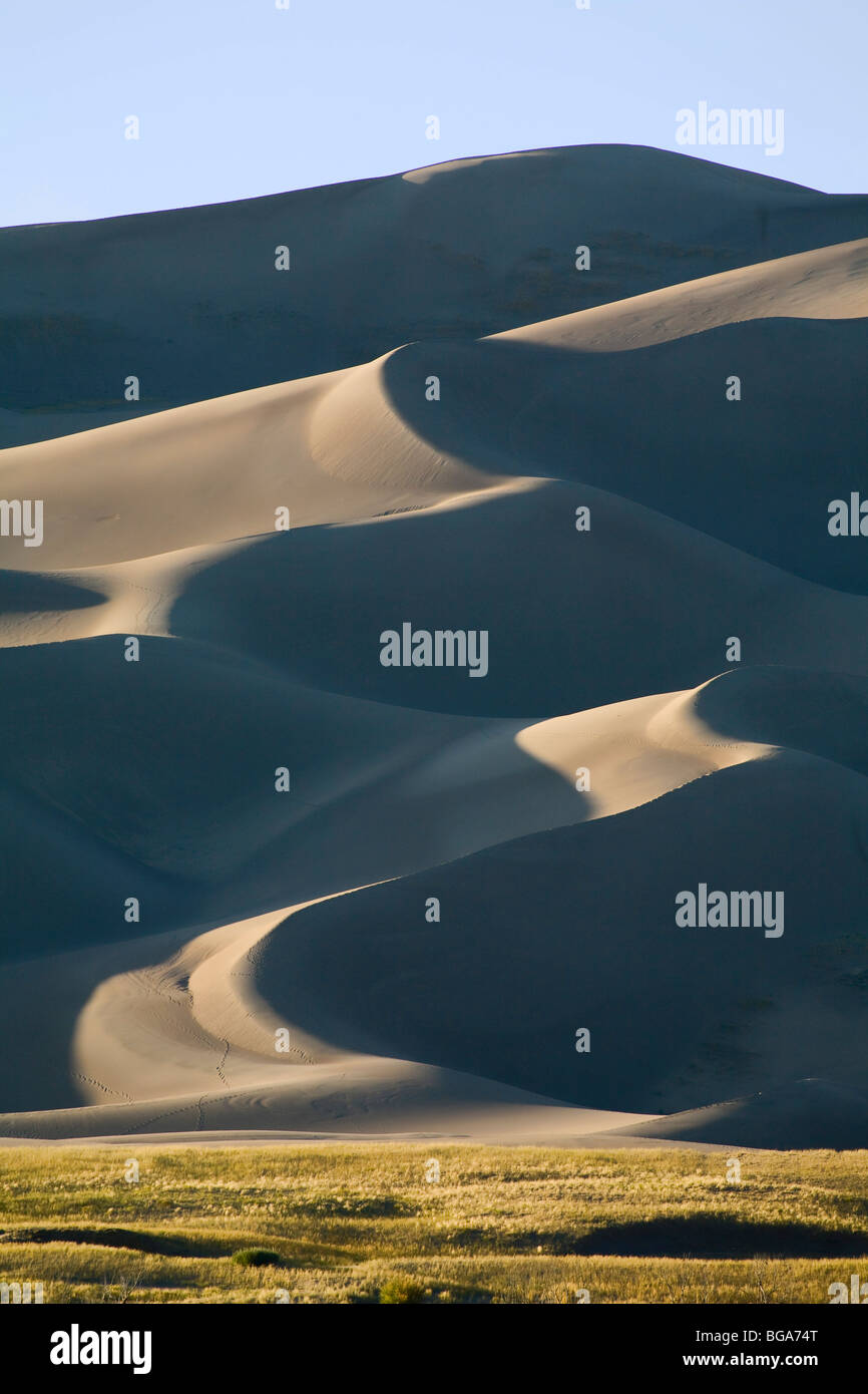 Le sable déplacé par le vent recueille jusqu'à l'encontre des Montagnes Rocheuses formant des Great Sand Dunes National Park, Colorado Banque D'Images
