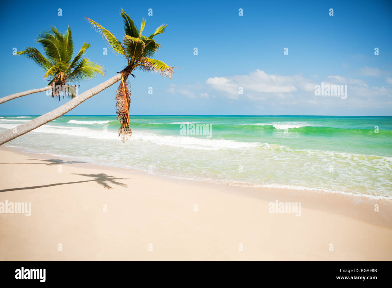 Plage de la mer des Caraïbes d'un palmier Banque D'Images