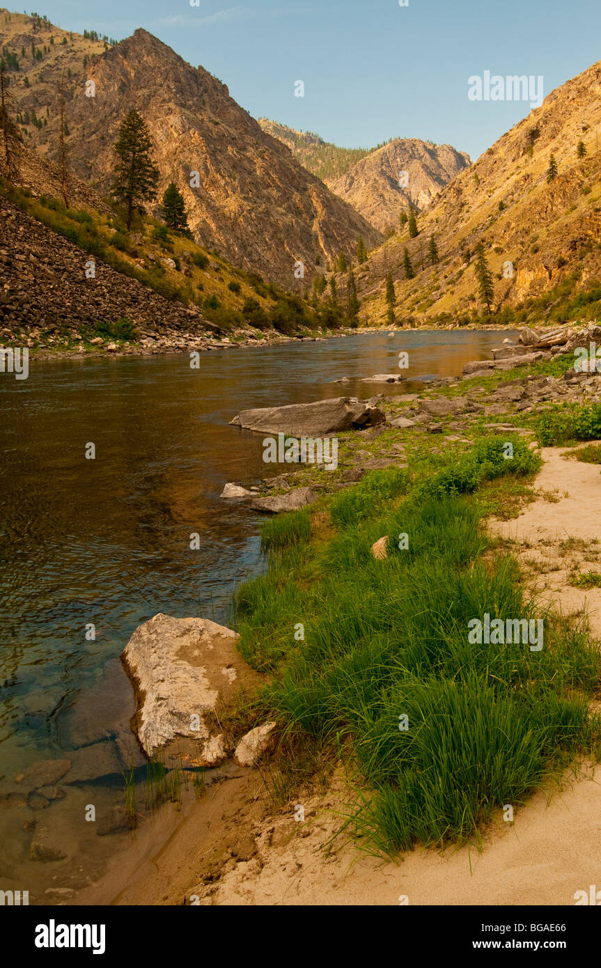 Scenic Idaho, tablier, Salmon River, Frank Church désert. Banque D'Images