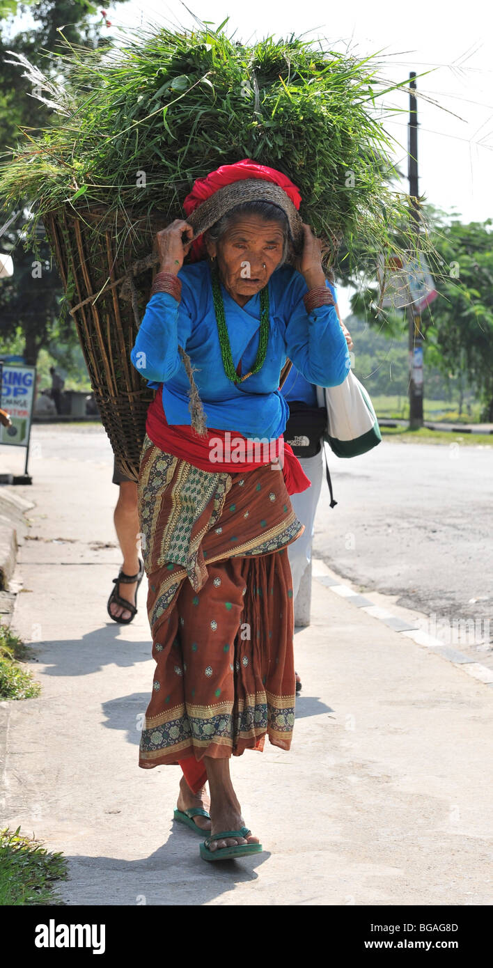 L'Inde, les îles Andaman et Nicobar portrait d'une femme Banque D'Images