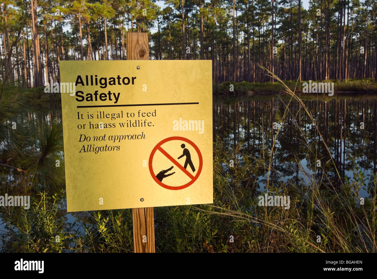 Panneau d'avertissement dans l'Alligator Okefenokee National Wildlife Refuge, Georgia, USA Banque D'Images