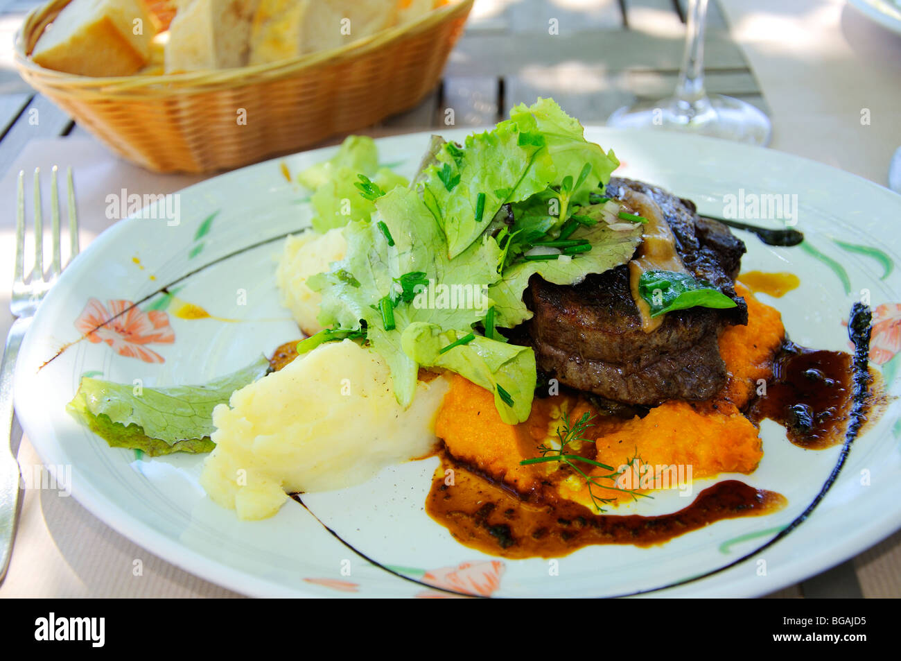 Duck dish, Provence, France Banque D'Images