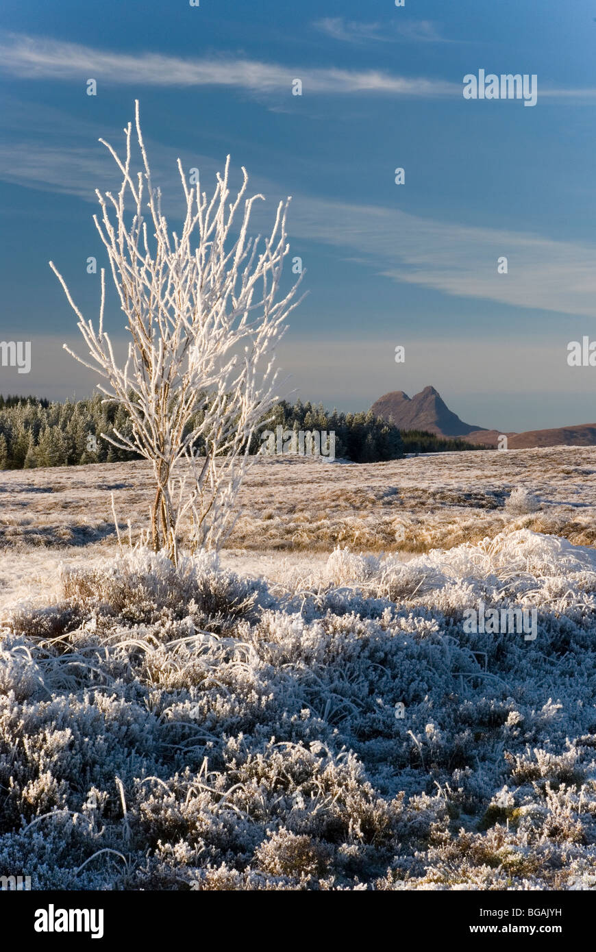 Suilven du Loch Borralan, Sutherland, Scotland Banque D'Images