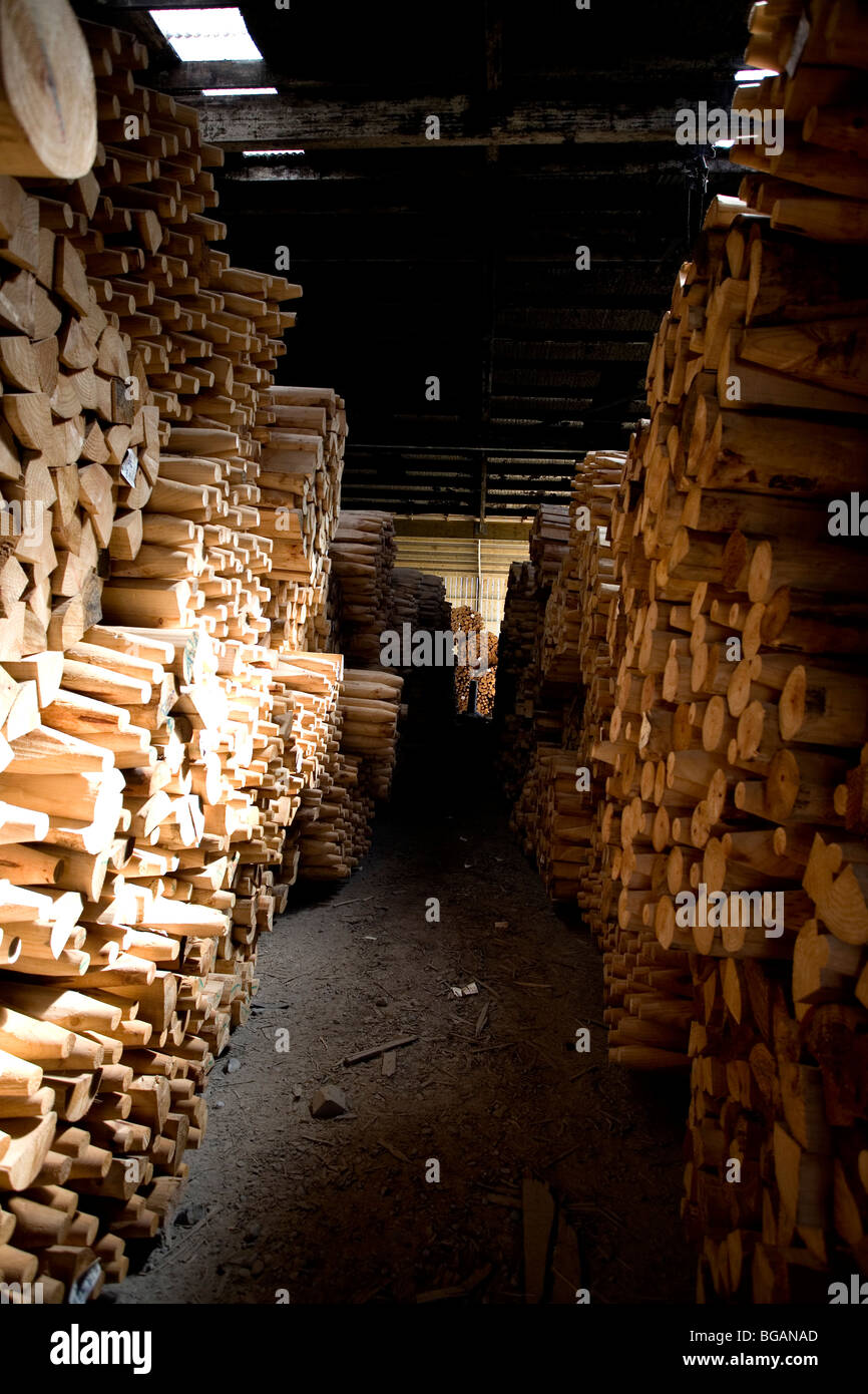 L'usine de triage du bois des pins storage Banque D'Images