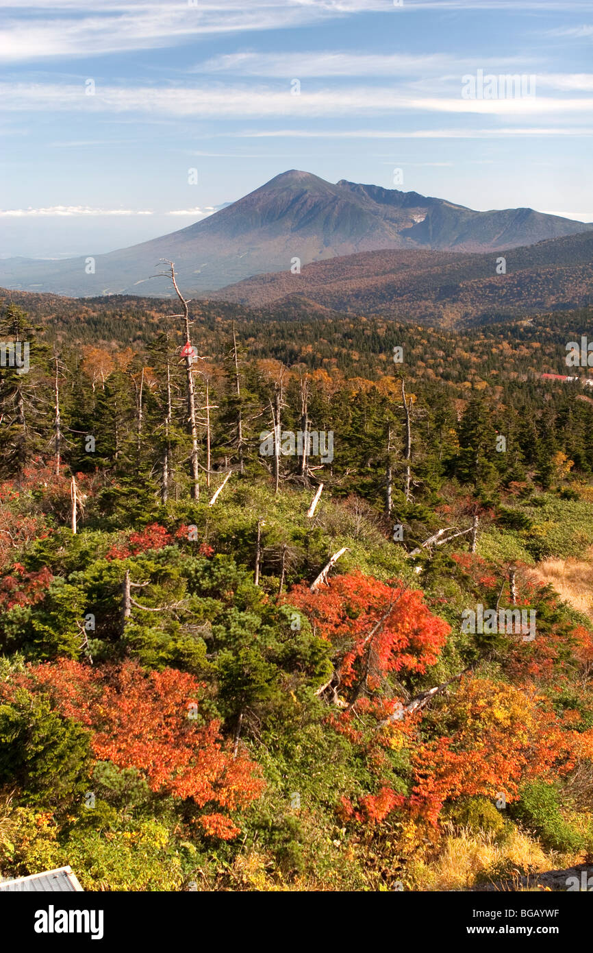 Le Japon, l'île de Honshu, Towada Kamaishi National Park, Mt. Couleurs d'automne et d'Iwate Banque D'Images