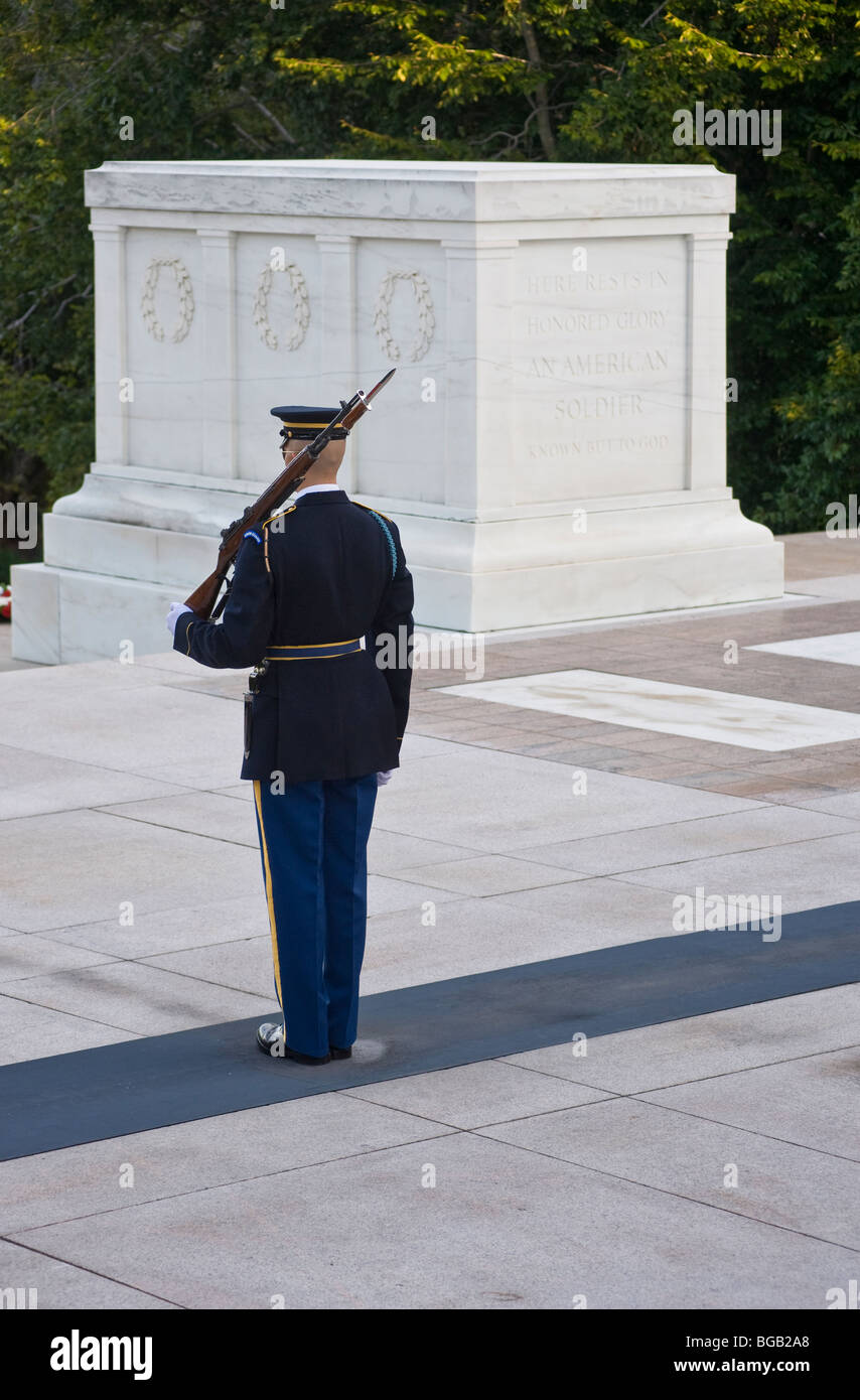 Soldat à la Tombe du Soldat inconnu, le cimetière d'Arlington, à Washington DC, USA Banque D'Images