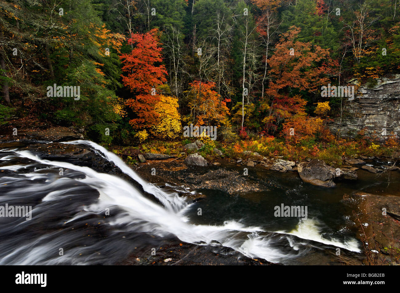 La couleur en automne et Cane Creek Cascade en automne Creek Falls State Park à New York Banque D'Images