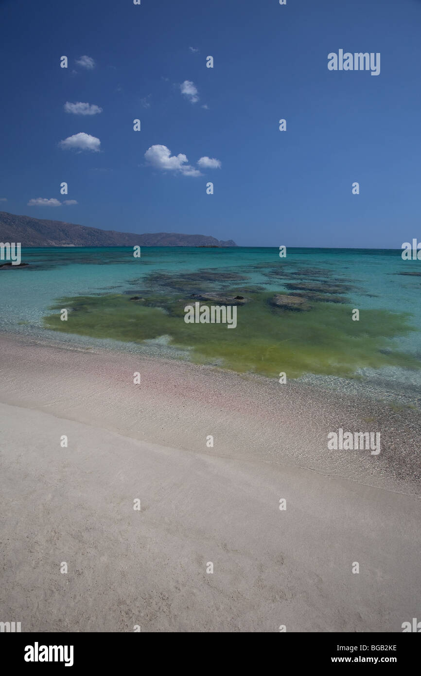 La plage de Elafonissi Crète Grèce landscape Banque D'Images