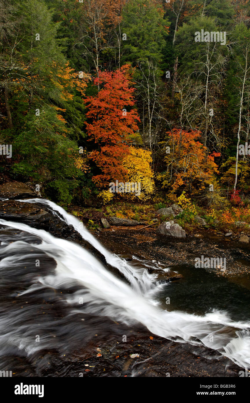 La couleur en automne et Cane Creek Cascade en automne Creek Falls State Park à New York Banque D'Images