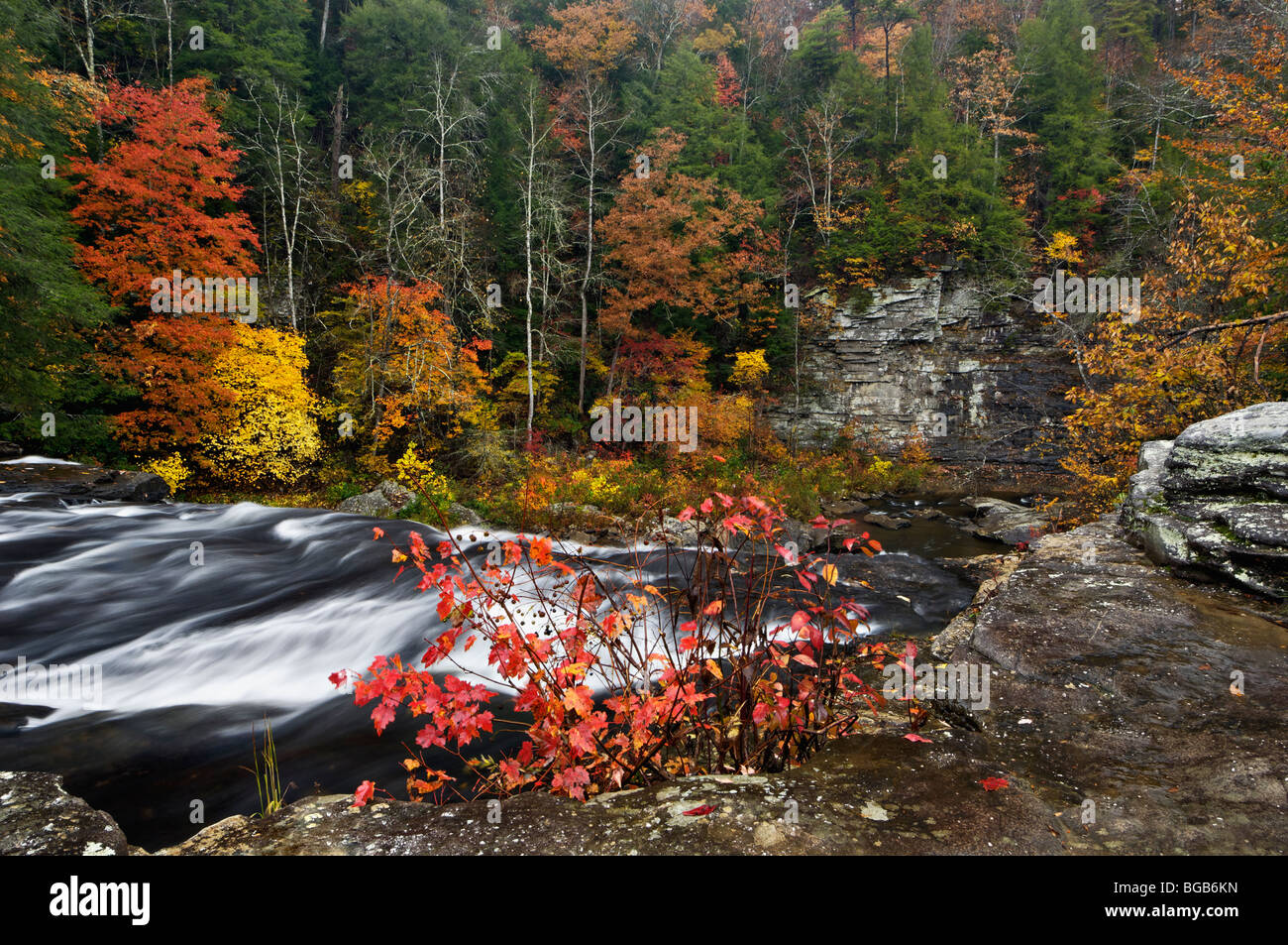 La couleur en automne et Cane Creek Cascade en automne Creek Falls State Park à New York Banque D'Images