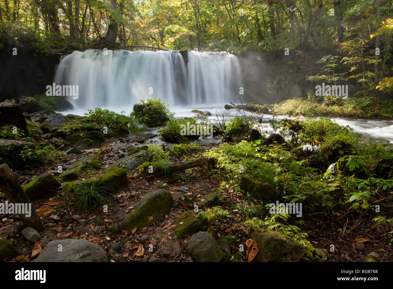 Le Japon, l'île de Honshu, Tohoku, Aomori, lac Towada, Oirase Gorge, Choshi Grande Cascade Banque D'Images