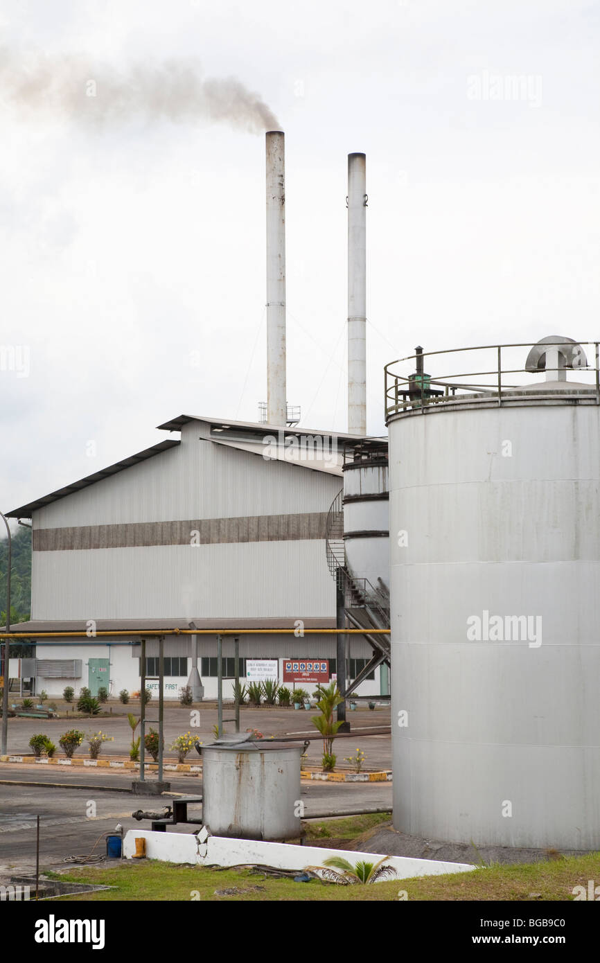 Le moulin à huile de palme Sindora, appartenant à Kulim, est vert certifié par RSPO pour ses pratiques respectueuses de l'environnement Banque D'Images Le moulin à huile de palme Sindora, appartenant à Kulim, est vert certifié par RSPO pour ses pratiques respectueuses de l'environnement Banque D'Images