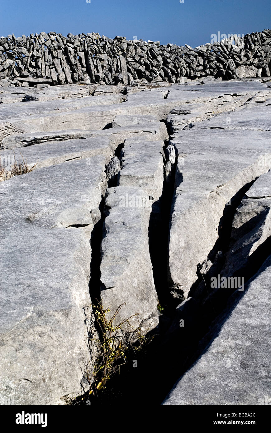 L'Irlande, le comté de Clare, le Burren, section de lapiez avec grykes profonde en premier plan et le muret de pierres sèches derrière. Banque D'Images