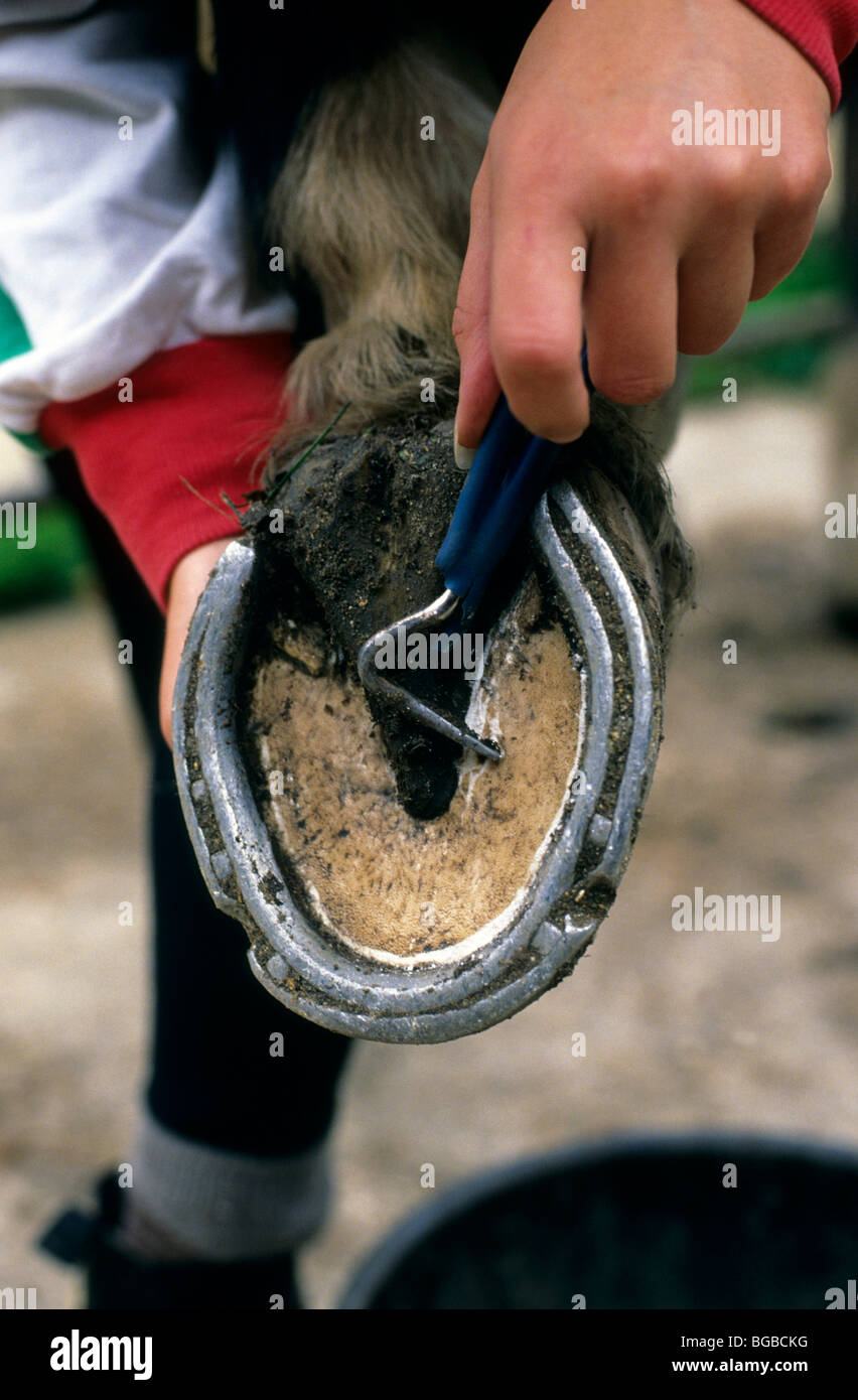 Détails nettoyage fer à cheval Banque D'Images