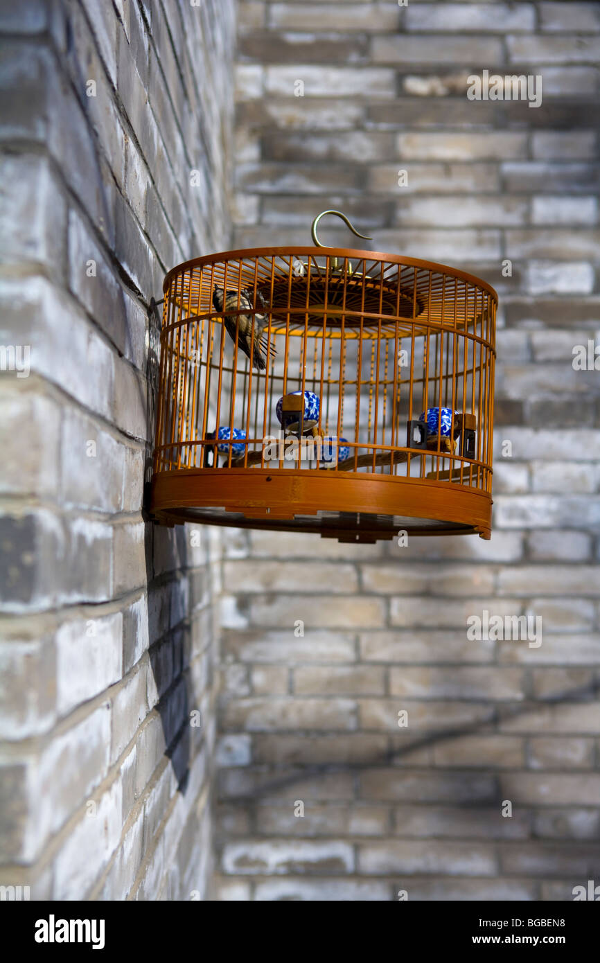 Oiseau dans une cage suspendue, Beijing Hutong, Chine Photo Stock - Alamy