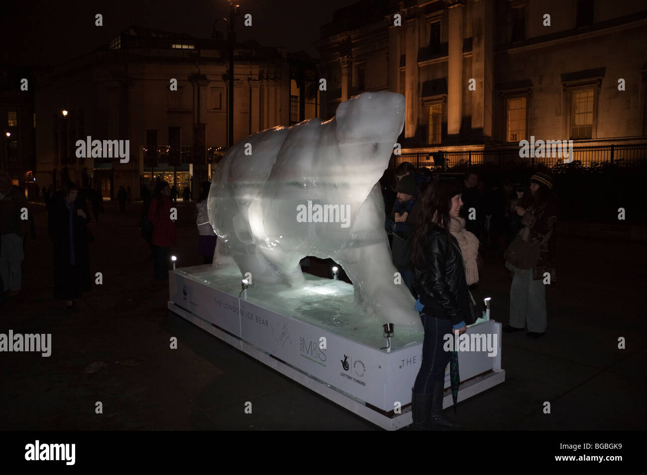 Mark Coreths Ice Bear Project à Trafalgar Square, London, England, UK Banque D'Images