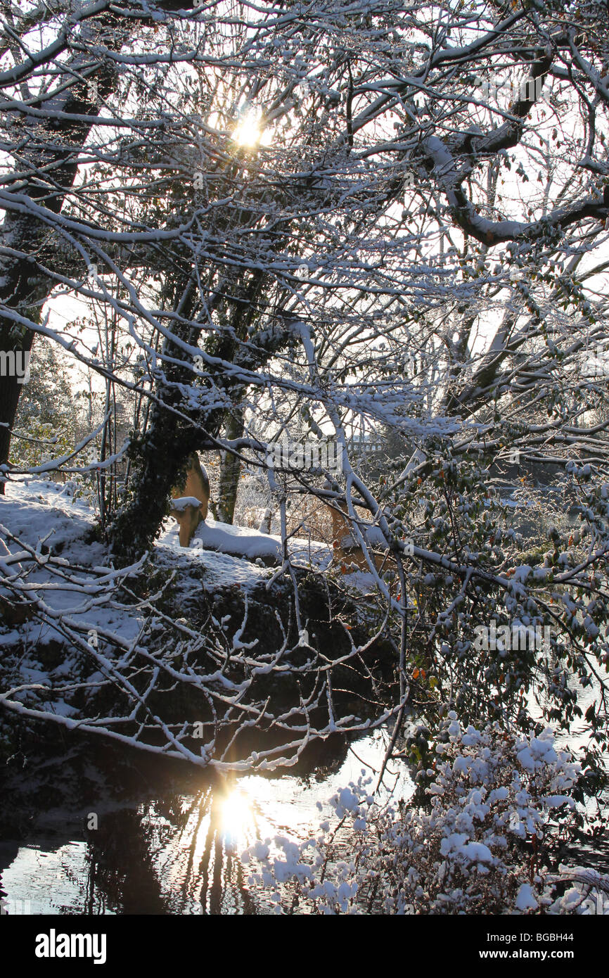 Snow-covered branches surplombant le lac glacé, Crystal Palace Park, Londres Banque D'Images