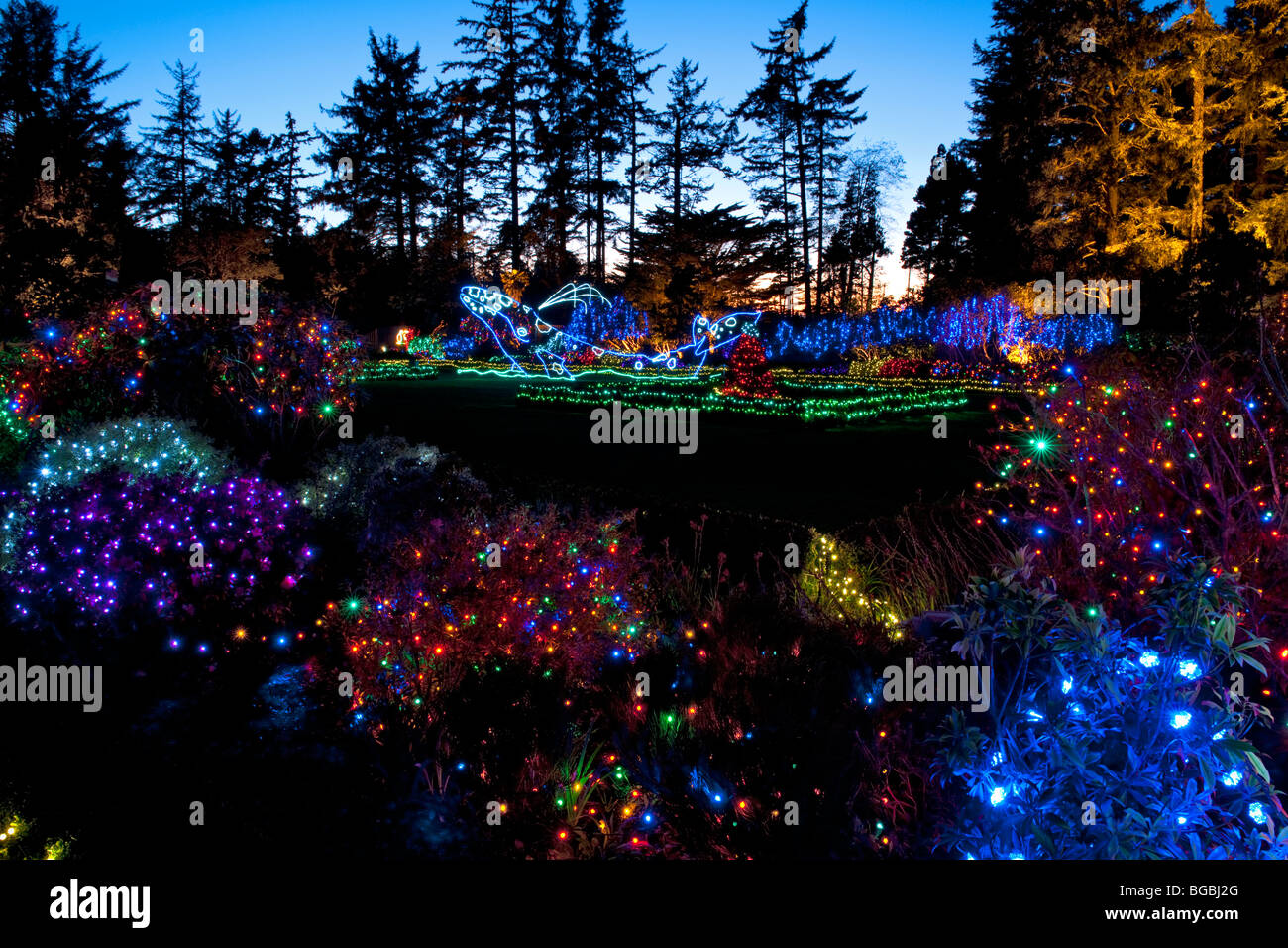 Lumières de Noël annuel d'hiver affichage à l'Oregon's Shore Acres State Park sur la côte sud. Banque D'Images