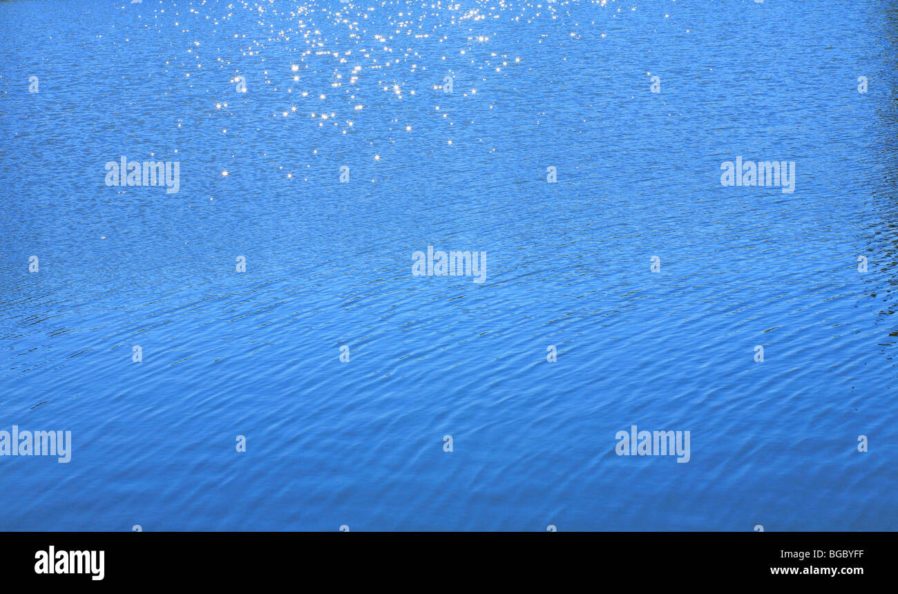 Les reflets sur l'eau dans l'étang du parc de la ville Banque D'Images