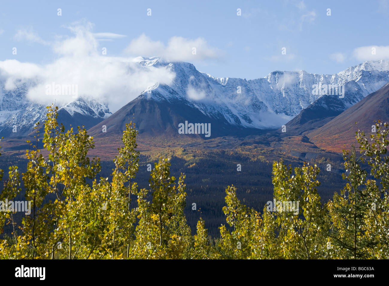 L'été indien le long de route de l'Alaska, les feuilles en couleurs d'automne, St. Elias derrière, et la Réserve de parc national Kluane, Yukon Banque D'Images