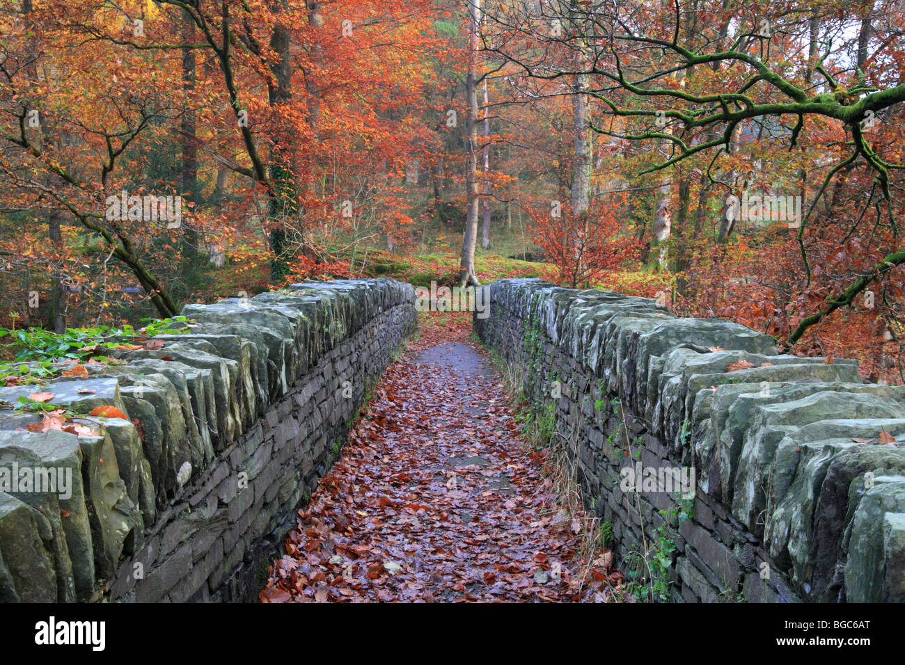 Passerelle sur la rivière Brathay. Près de Ambleside Lake District, UK. Couleurs d'automne, rouge, jaune, orange feuilles. Banque D'Images