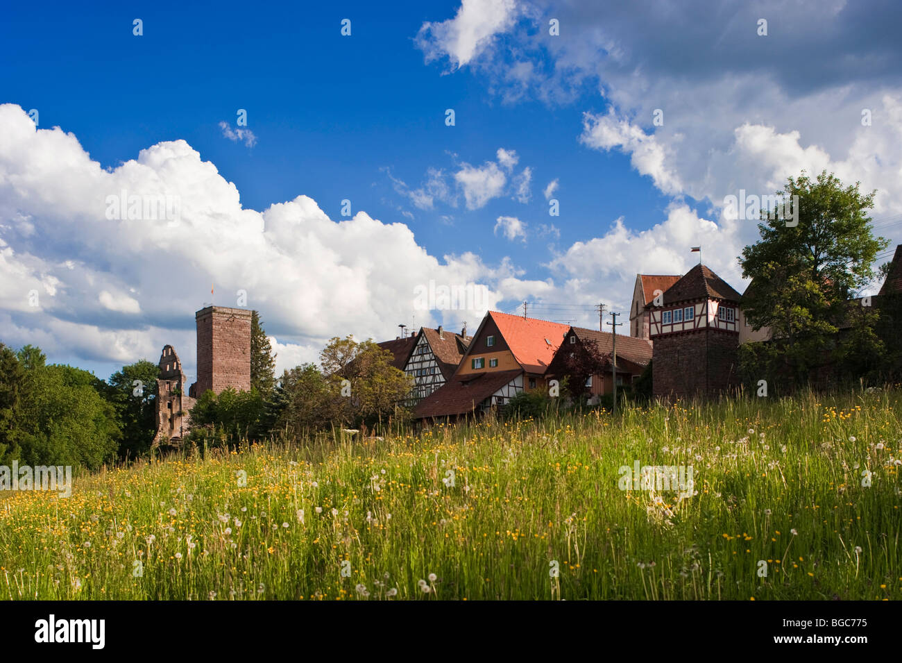 Paysage avec ruines du château de Burgruine Zavelstein Zavelstein, Bad Teinach, Forêt-Noire, Bade-Wurtemberg, Allemagne, Europe Banque D'Images