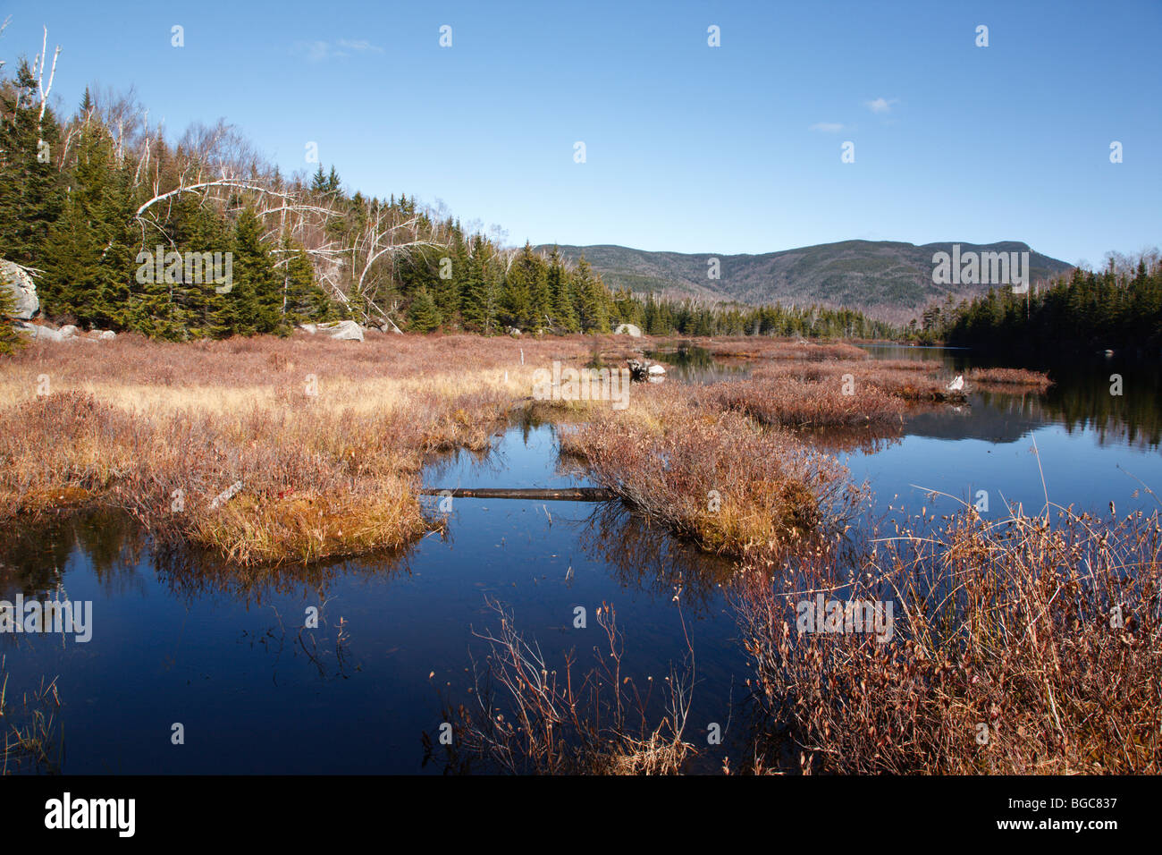 Wilderness Sandwich- télévision Étangs de montagne pendant les mois d'automne dans la région de Waterville Valley, New Hampshire, USA Banque D'Images