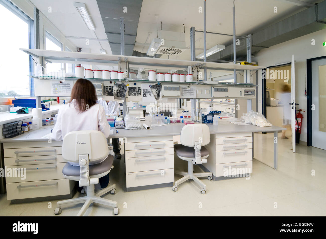 Laboratoire de génétique Banque D'Images