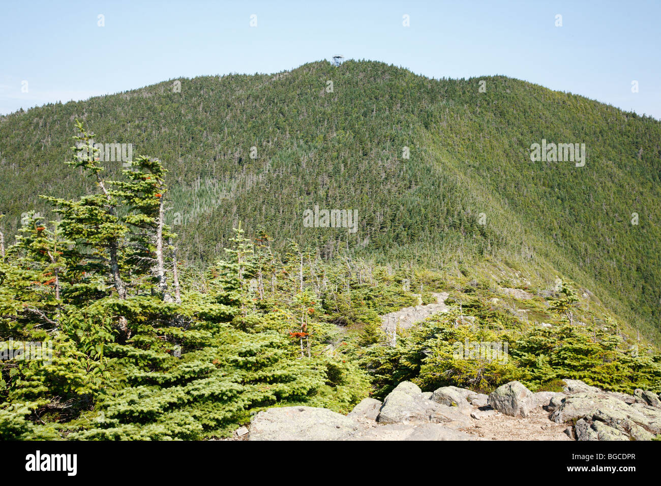 Mont Carrigain Signal Ridge Trail de pendant les mois d'été. Situé dans les Montagnes Blanches du New Hampshire, USA. Nommé d'après Phillip Carrigain, qui était secrétaire d'État à partir de NH 1805-1810 Banque D'Images
